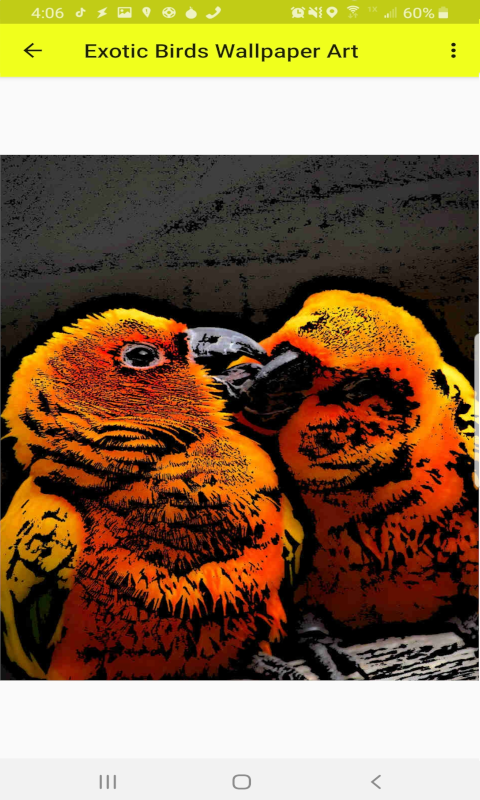 Exotic Birds Wallpaper Art (HD)