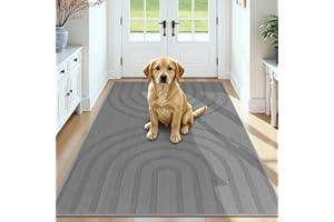 HEBE Front Door Mat Indoor, Low Profile Absorbent Entrance Rug Washable, Non-Slip Heavy Duty Doormat Dirt Trapper Mats for En