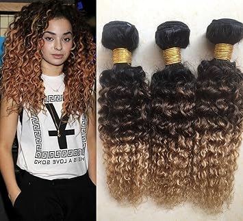 Amazon Com A1creations 20 Ombre Hair Brazilian Hair Kinky Curly