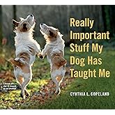 Really Important Stuff My Dog Has Taught Me