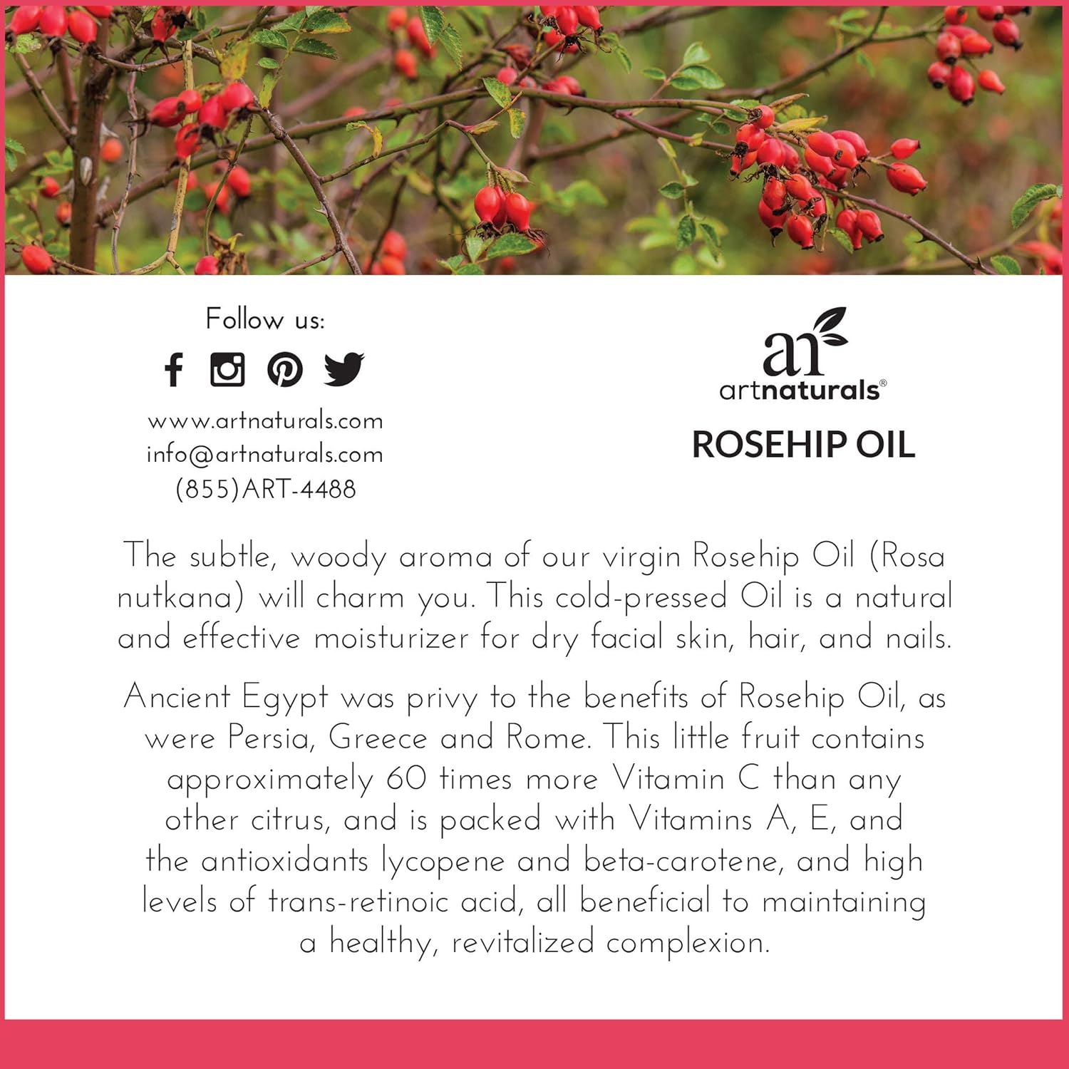 ArtNaturals Rosehip Seed Oil 4 oz for Face, Hair & Skin - 100% Pure Natural, Cold Pressed & Unrefined Rose Hip Oil - Anti-Aging Moisturizer Facial Oil for Dry Skin, Fine Lines, Scars & Wrinkles: Beauty