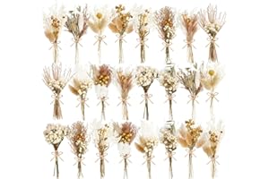 WGXX 12/24 Pack Dried Flowers for Vase Various Mini Bouquet Dried Small Wildflowers Natural Real Flowers Bulk for Crafts DIY Wedding Decor (24, Plain Colour)
