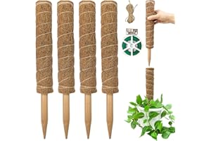 JINYICOCO 62 Inch Moss Stick for Potted Plants 4 Pcs 15.7 inch Plant Support for Climbing Plants Monstera, Coir Totem Pole Support for Climbing Plants,Creeper(Not Removable)
