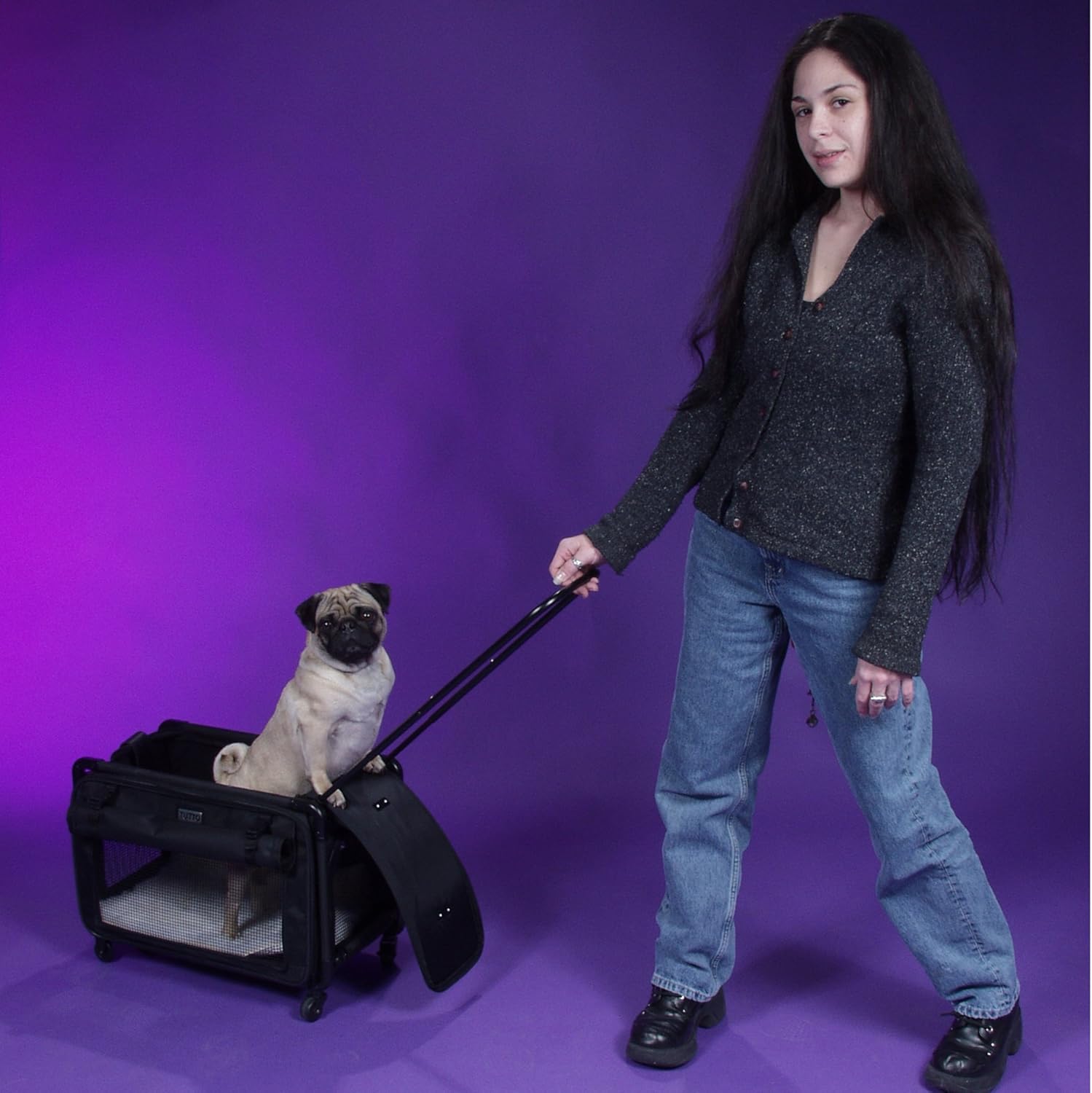 Tutto Medium Pet on Wheels Stroller, 20-Inch, Black : Pet Carrier Strollers : Pet Supplies