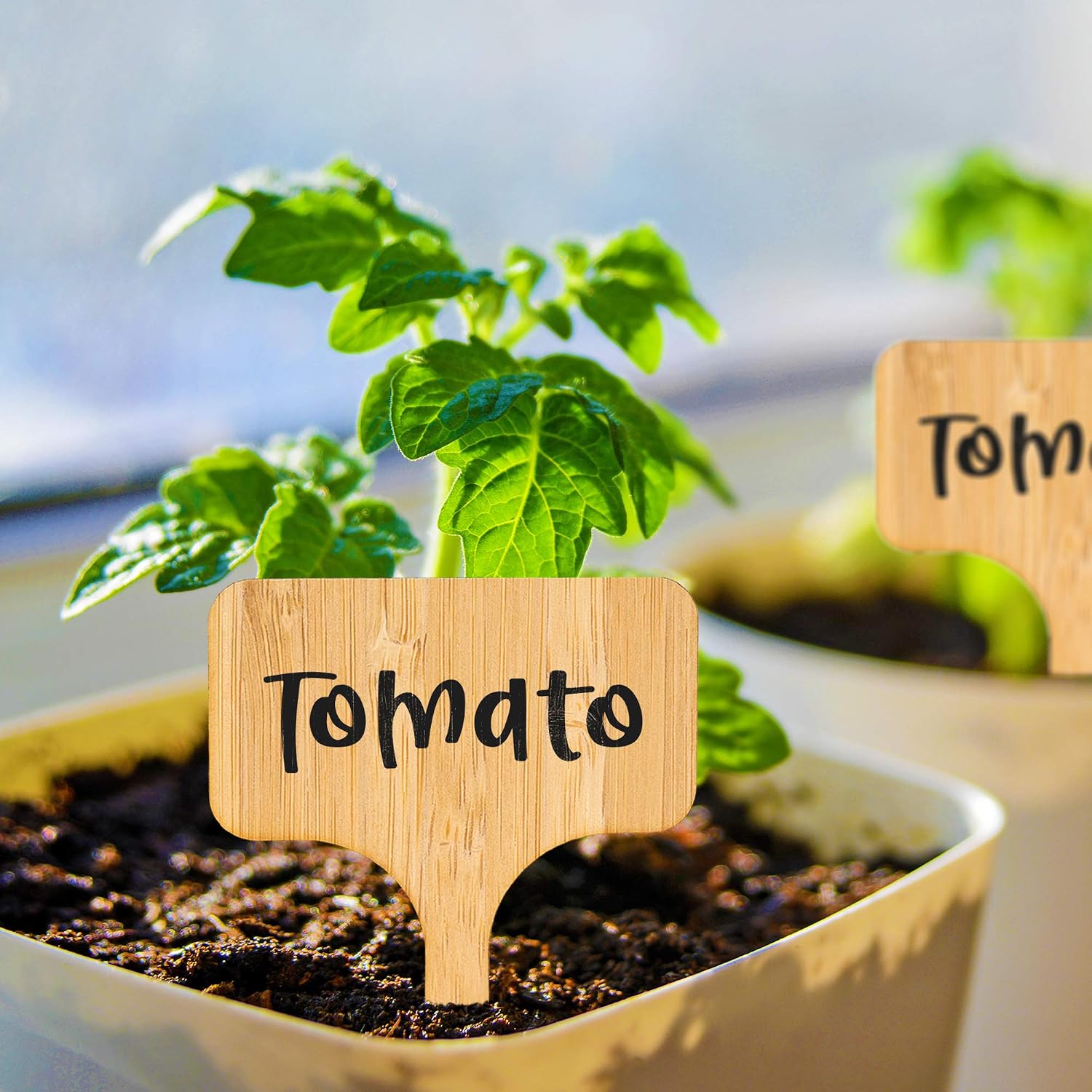 50 Pack Etiquetas de Plantas, Marcadores para Plantas, Bambú ...