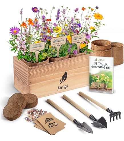 Amazon.com : 5 Indoor Flowers Growing Kit for Beginners, Complete