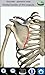 Visual Bones