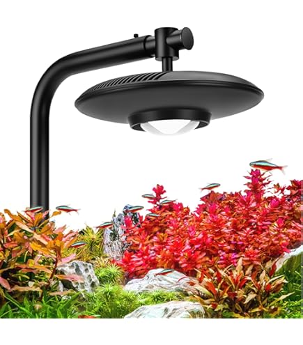 Amazon.com : Kessil A80 Tuna Sun LED Light : Pet Supplies