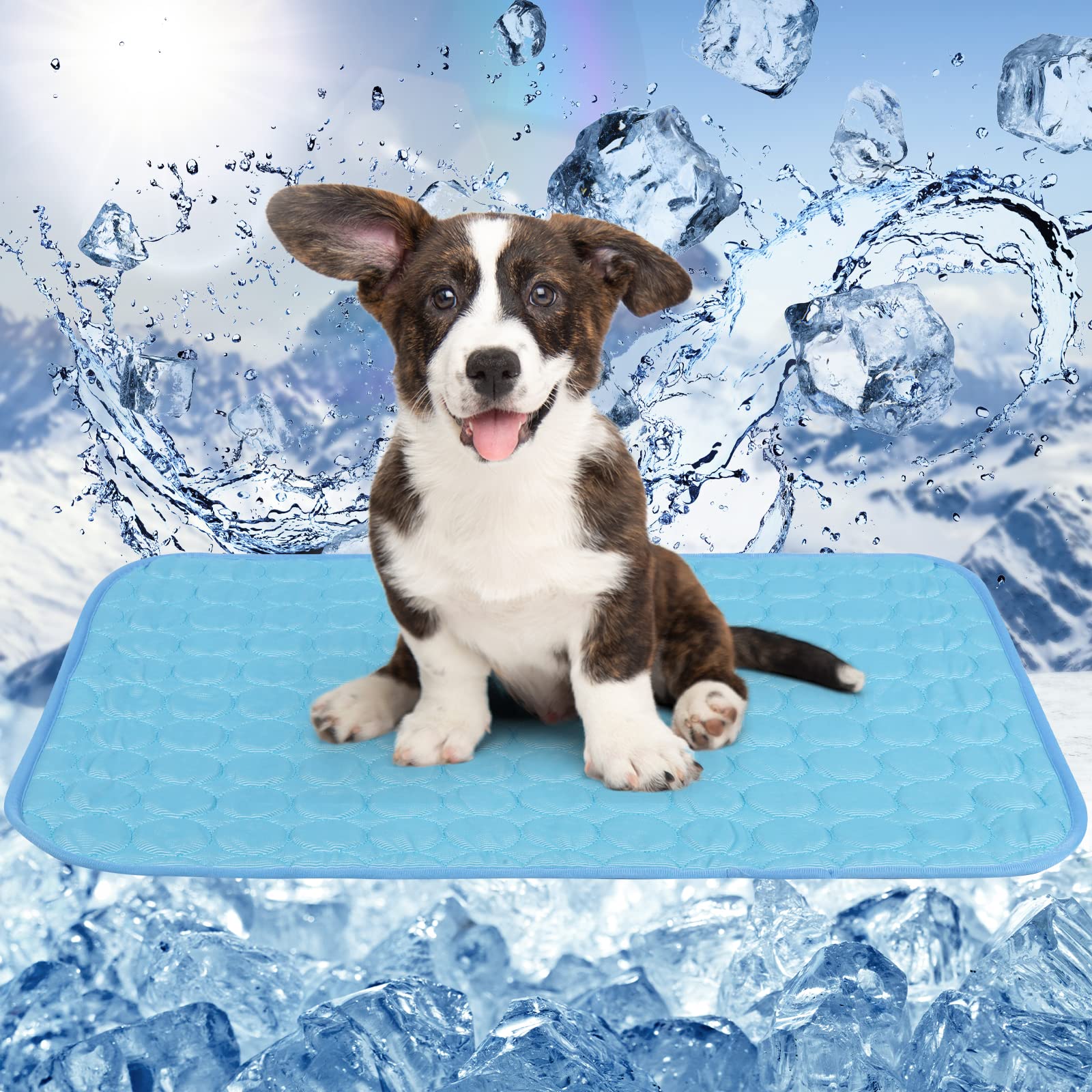 ANWA Reusable Dog Cooling Mat Large 70x55cm, Easy-Fold Pet Cool Mat for Home Travel, Self Cooling Pad for Dogs Cats in Hot Summer