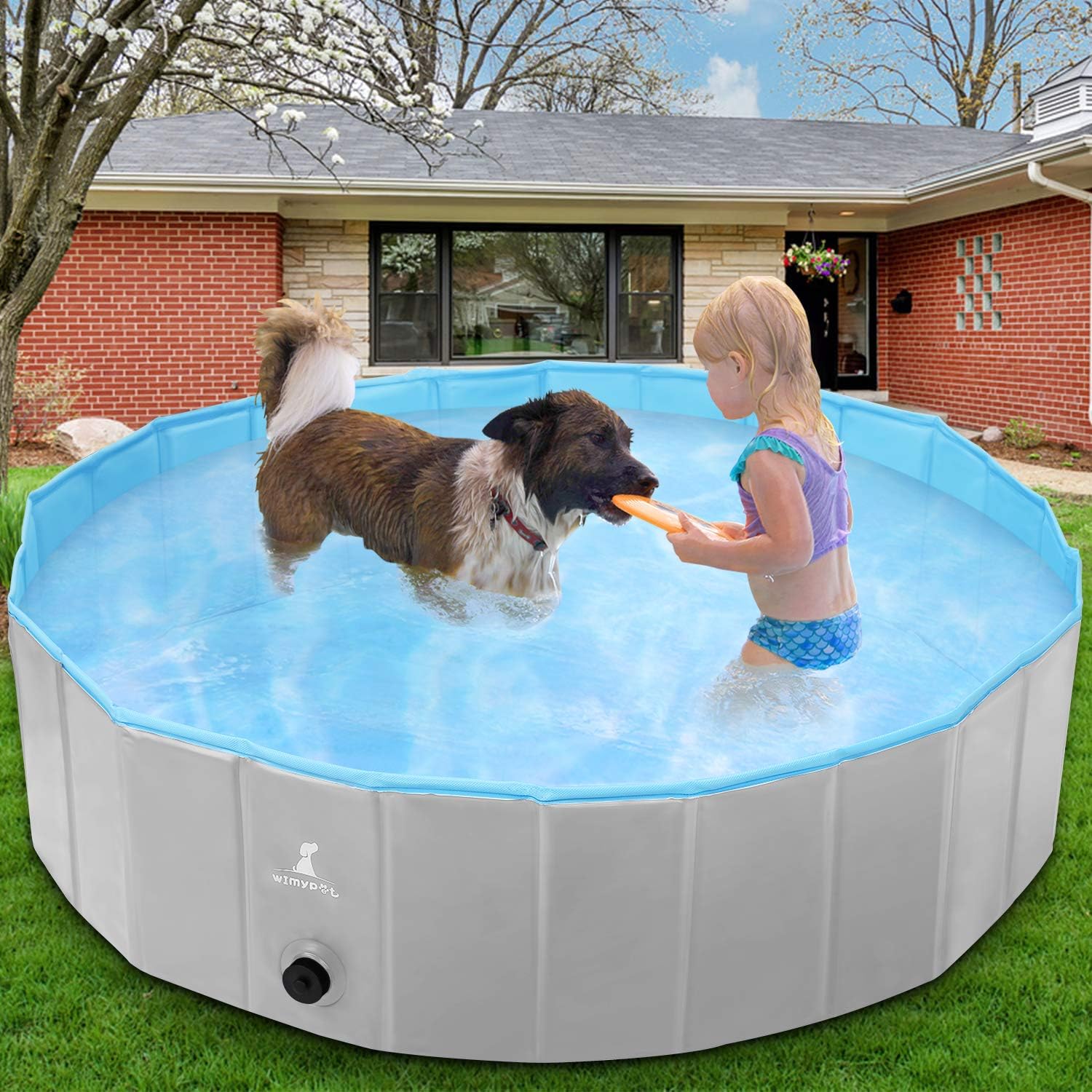indoor swimming pool for dogs near me