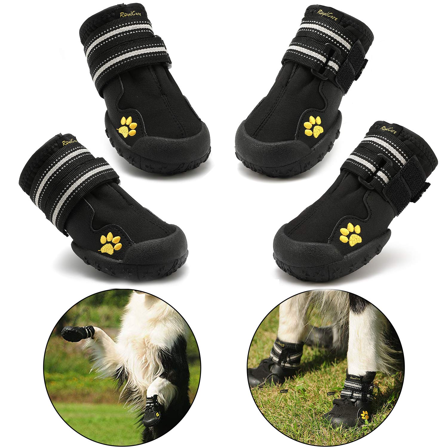 RoyalCare scarpe per Border collie - tuttoperiltuocane.it