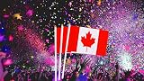 BigTree 50 Mini Canadian Flags on Sticks for Party & Events view 6