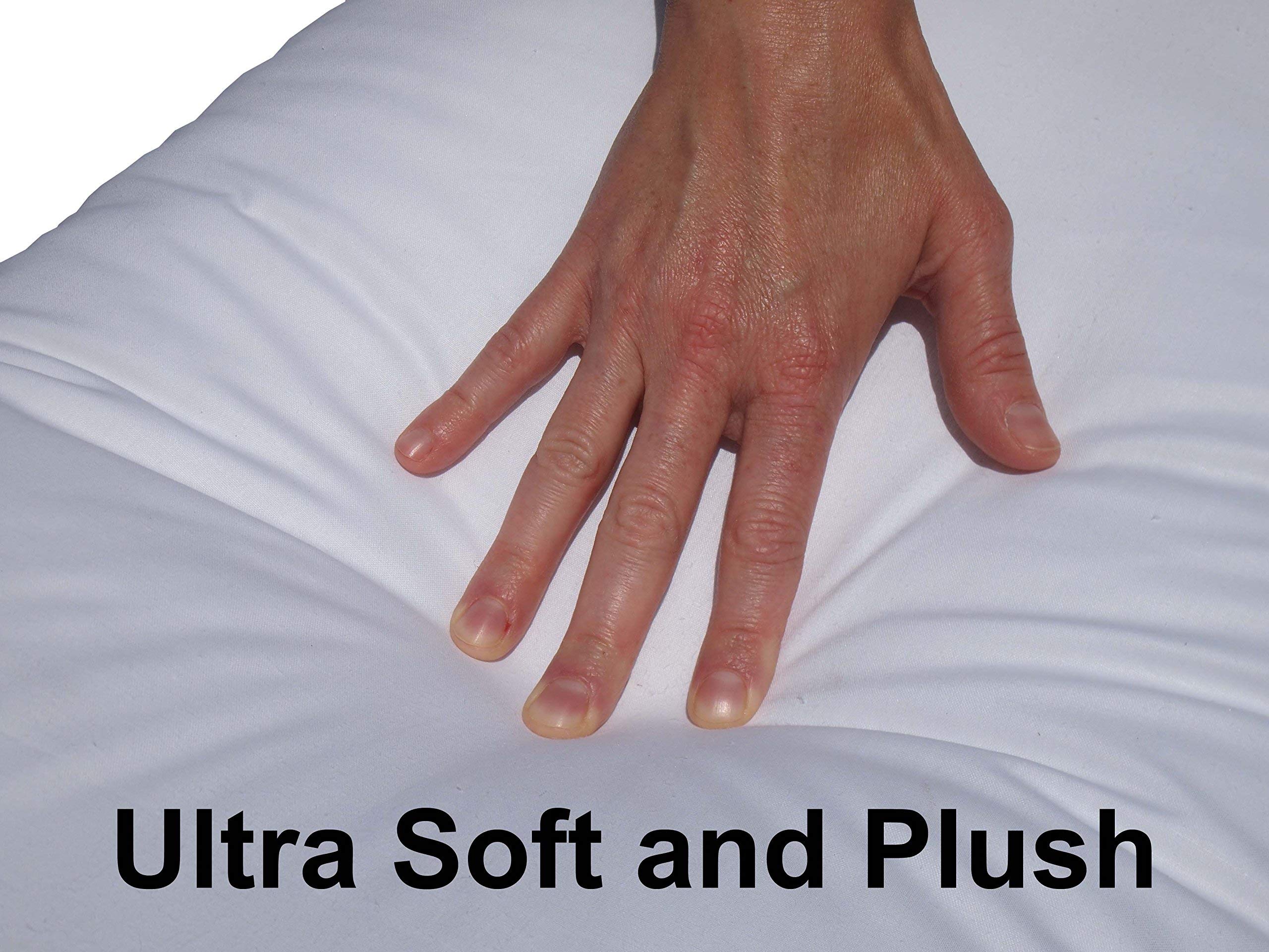 Pillowflex Synthetic Down Pillow Insert for Sham Aka Faux/Alternative (14 Inch by 20 Inch)