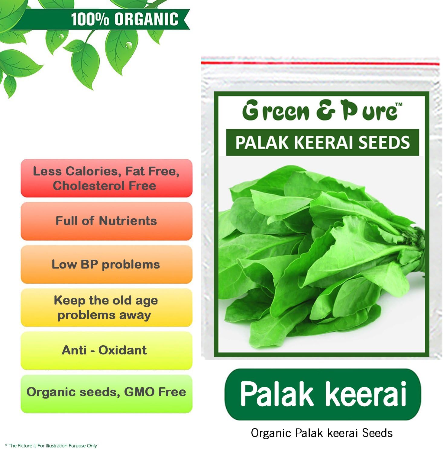 Green And Pure Organic Vegetable Seeds - Palak / Spinach (Pack Of 1)