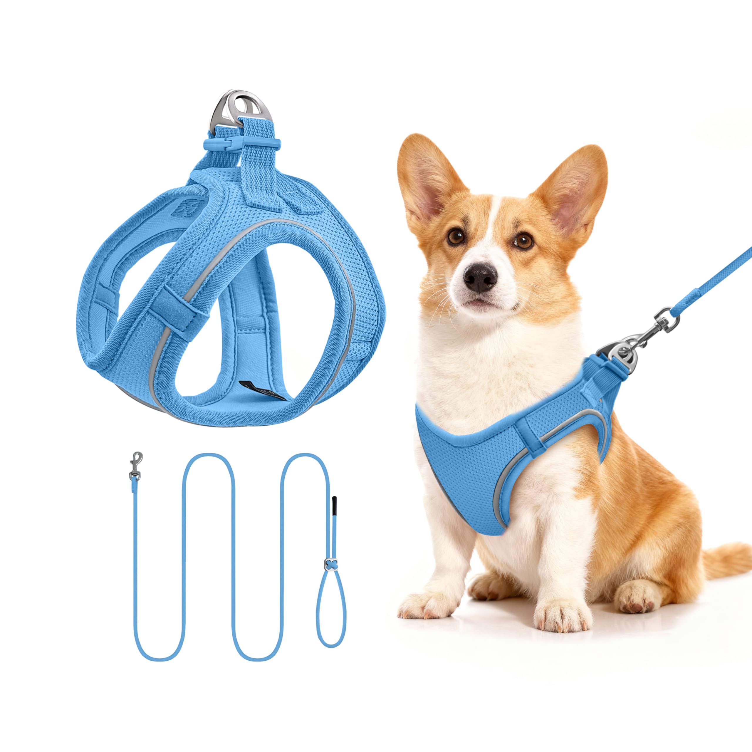Qianruida Step-in Dog Harness With Lead - Reflective Breathable Mesh Soft Comfort Adjustable Easy to Put On Vest for Walking Running (Blue M)