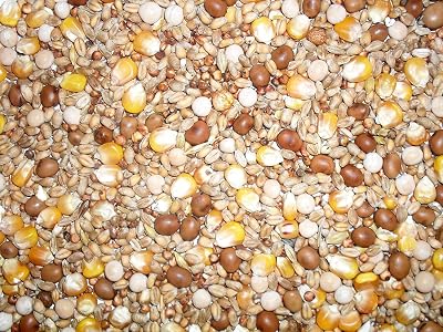 Johnston & Jeff Four Seasons Economy Pigeon Seed Mix 20 kg