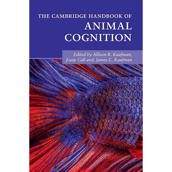 Amazon.com: The Oxford Handbook of Affective Computing (Oxford