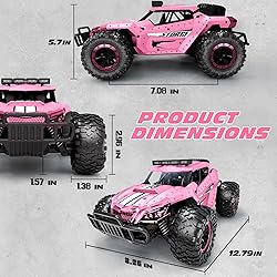 Tecnock Pink RC Car 1/16 Scale Remote Control Car