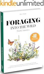 kindle best category lists