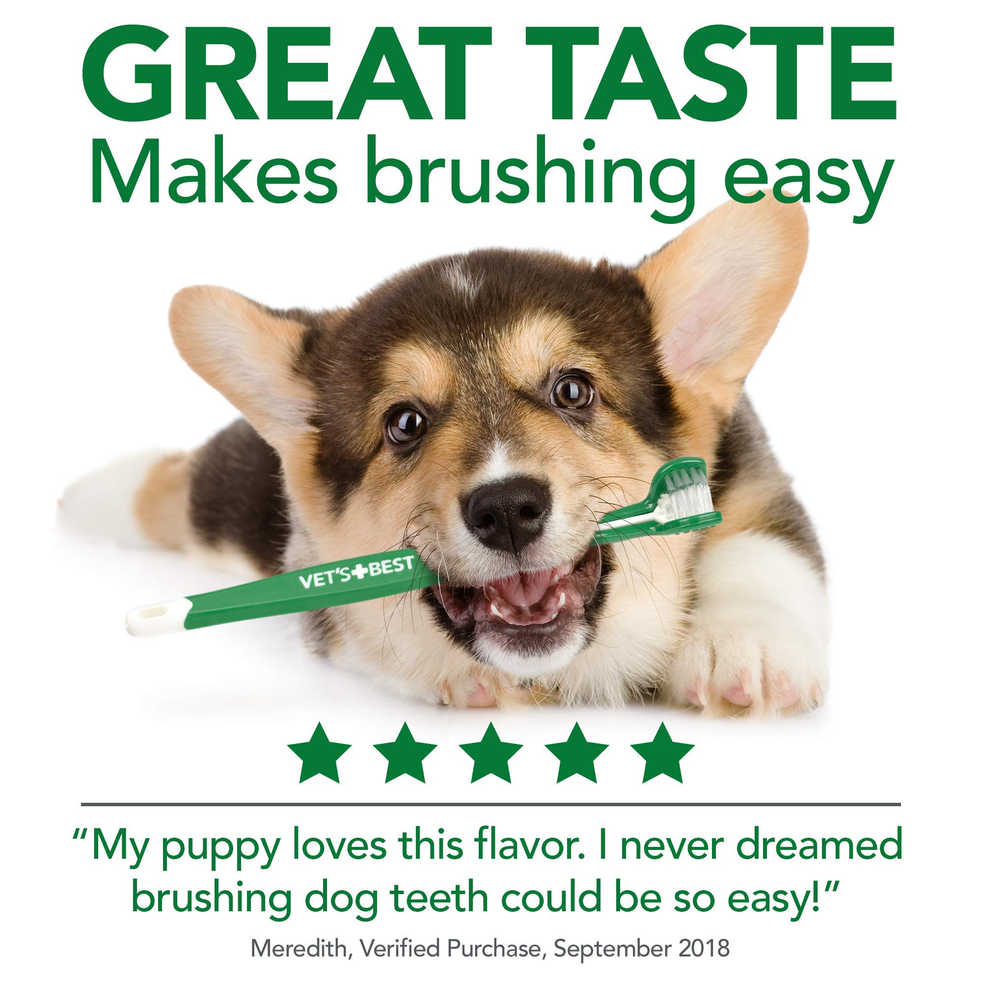 Vet's Best Enzymatic Dog Toothpaste Teeth Cleaning and Fresh Breath