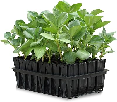 Haxnicks Deep Rootrainers 40 Cells with Stand 20cm Deep 350cc RT010101