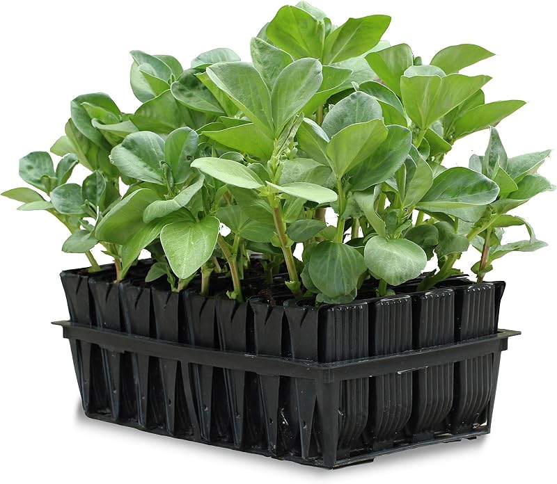 Haxnicks Deep Rootrainers 40 Cells with Stand 20cm Deep 350cc RT010101