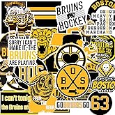 30 PCS American Hockey Stickers for Water Bottle, Laptop, Bicycle, Computer, Motorcycle, Travel Case, Car Decal Decoration Sticker 2-2.5 inches