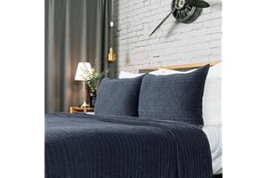 Elegant Life Home Reversible Royal Cotton Velvet Pic-Stitch Bedding Quilt - Queen Quilt - 88" x 92", Dusty Blue