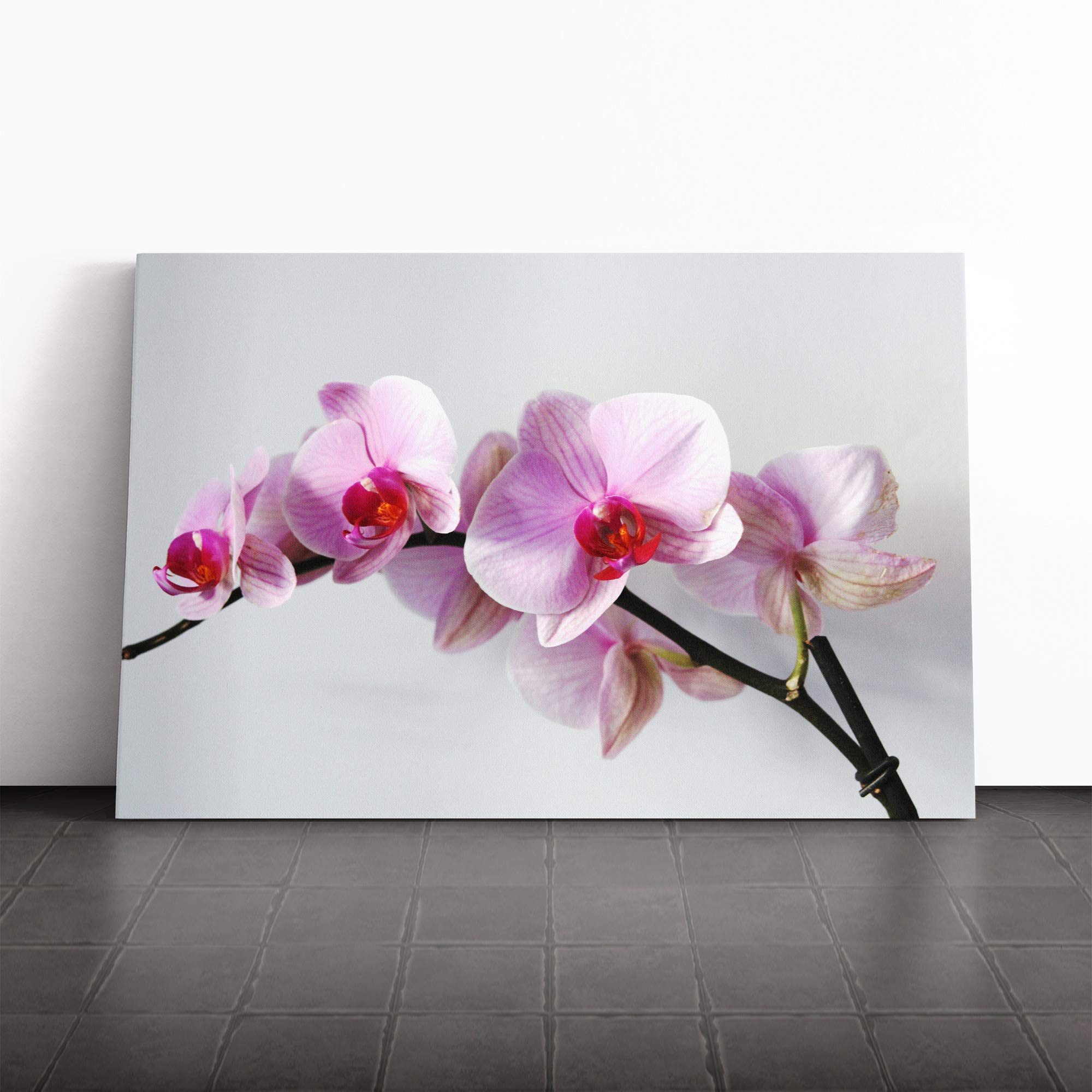 Flower Pink Orchid (2) Canvas Print | Gallery Wrapped 30mm Frame Wall Art | 20x14 inches | Ready to Hang | Modern Floral Picture | Living Room Bedroom Lounge Office