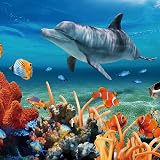 Pup Go Sea Life Torch Projector with 24 Images 9 Themes for Kids view 7