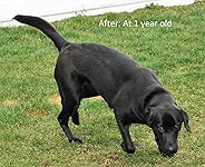 Review Image by Kristen C. Kristen C.