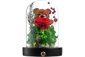 Polylove Forever Flowers Gifts for Women Preserved Roses Bear with Mood Light Gifts for Girlfriend Wife Mother Valentines Day Mothers Day Christmas Birthday (Red Rose, Green Hydrangea)