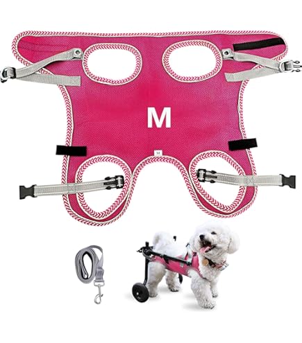 Lightweight Pet Cart Adjustable Dog Wheelchair For Back Legs - Lightweight Support Cart For Disabled Small Dogs Hind Leg Cart