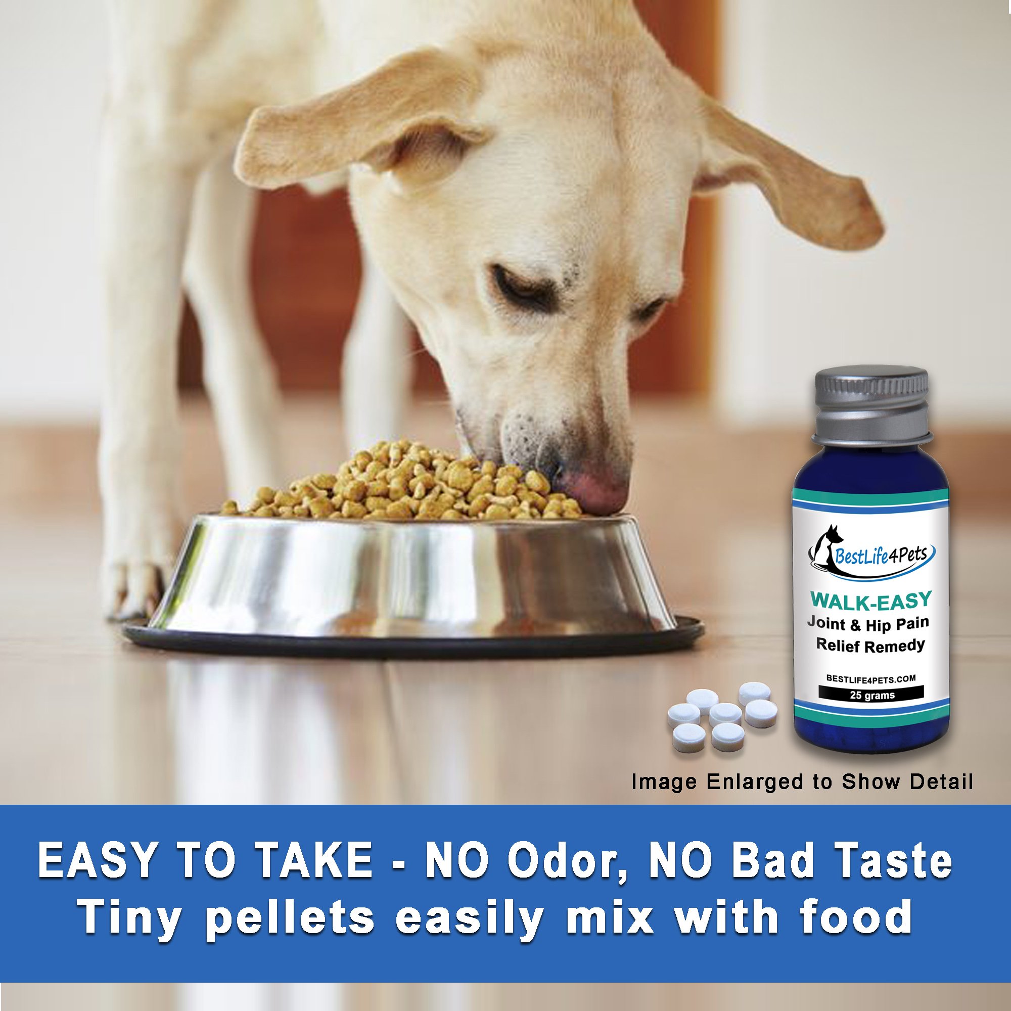 WALKEASY Antiinflammatory Homeopathic Supplement Joint and Hip Pain