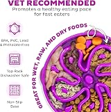Outward Hound Slow Feeder Dog Bowl Large Purple – Non-Slip, Dishwasher Safe view 3
