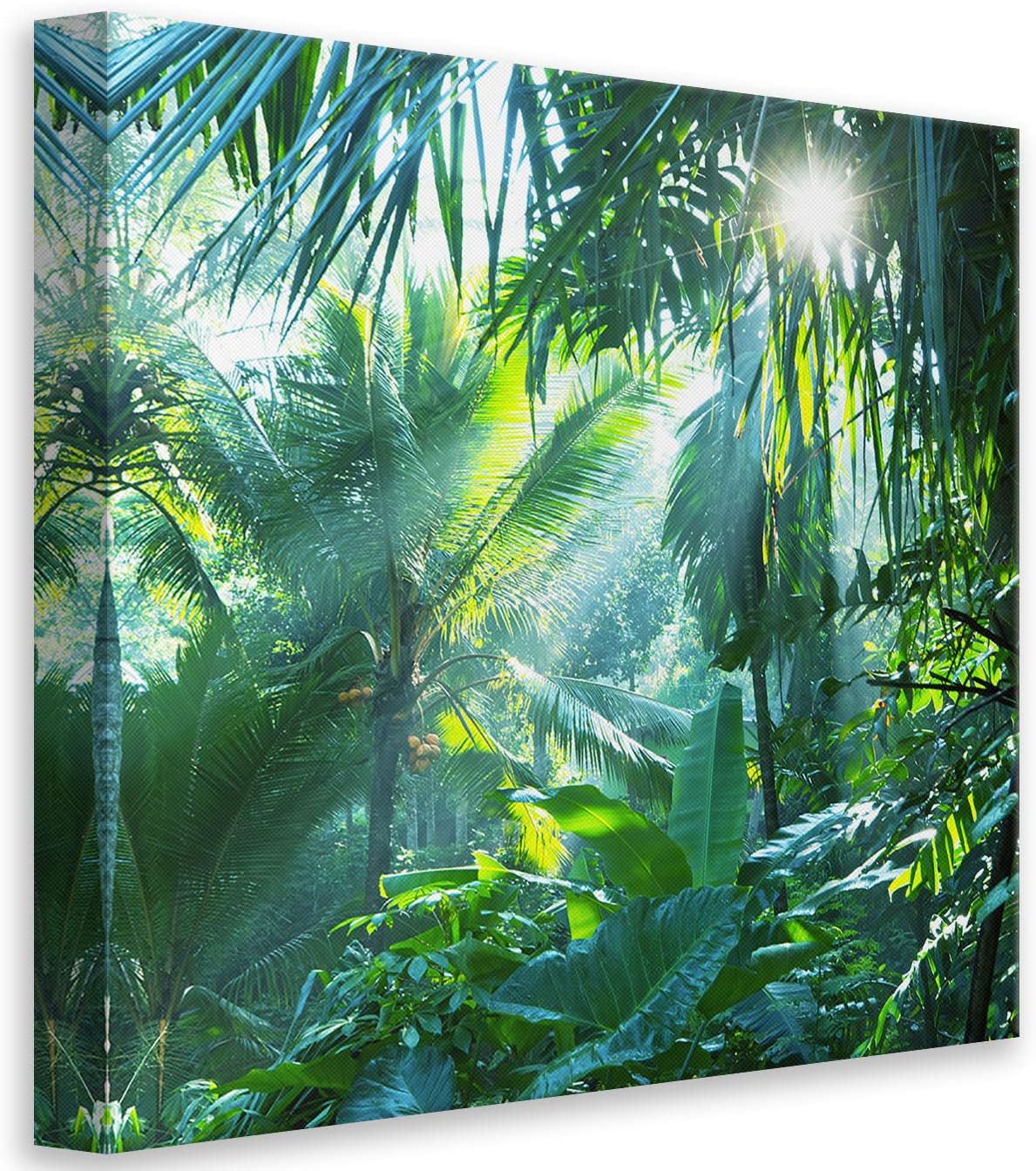 Canvarto Canvas Print in Tropical Forest 50x50cm Amazon.co.uk Kitchen