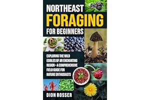 Northeast Foraging for Beginners: Exploring the Wild Edibles of an Enchanting Region – A Comprehensive Field Guide for Nature