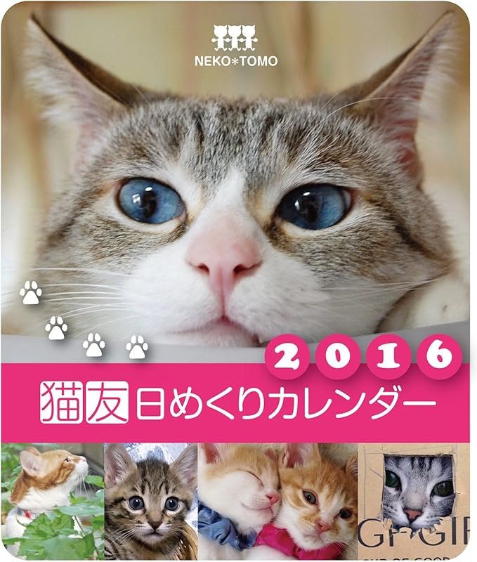 Amazon Co Jp 猫友日めくりカレンダー16 猫 卓上 カレンダー 家電 カメラ