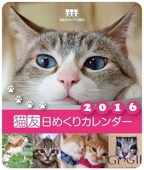 子供向けぬりえ 驚くばかり猫 カレンダー 16