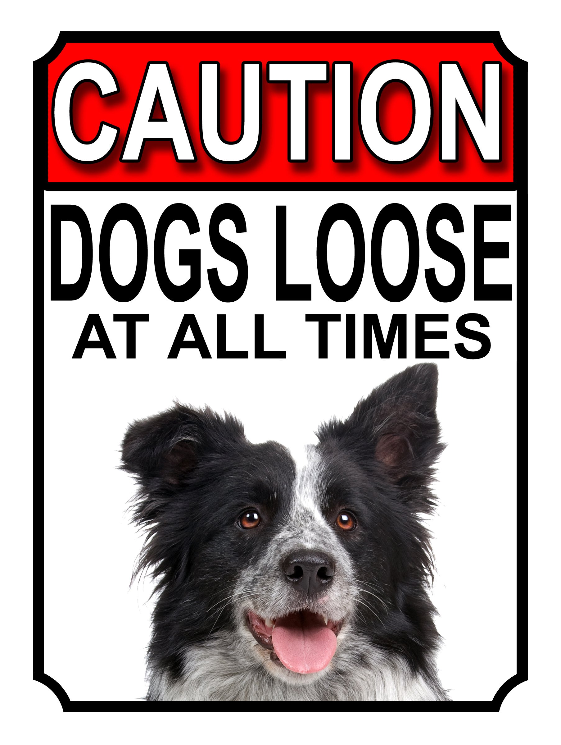 CAUTION DOGS LOOSE AT ALL TIMES METAL GATE SIGN BORDER COLLIE 200MM X 150MM (1179H1) — image 1