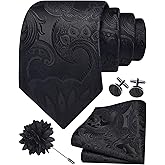 GUSLESON Paisley Tie Set for Men 3.15" Necktie Lapel Pin Hankerchief Cufflinks Set for Men