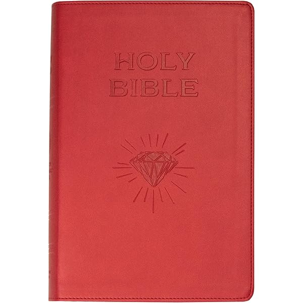 Instruction Manual No 2 (One Picture Book): Weifenbach, Terri