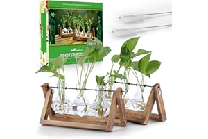 Seedfactor Plant Propagation Station, Plant Terrarium with Wooden Stand, Planter Retro Rack with 3 Bulb, Gifts for Women, Air Plant Terrarium for Hydroponics Home Garden Office Decoration (2 Pack)