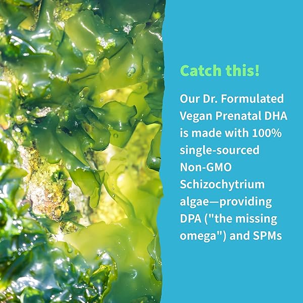 GARDEN OF LIFE DR. FORMULATED PRENATAL VEGAN DHA – CERTIFIED VEGAN OMEGA 3 SUPPLEMENT WITH 400MG DHA + DPA FROM ALGAL OMEGA 3 IN TRIGLYCERIDE FORM, NON-GMO ALGAE OMEGA 3 FOR VEGANS, 30 SOFTGELS