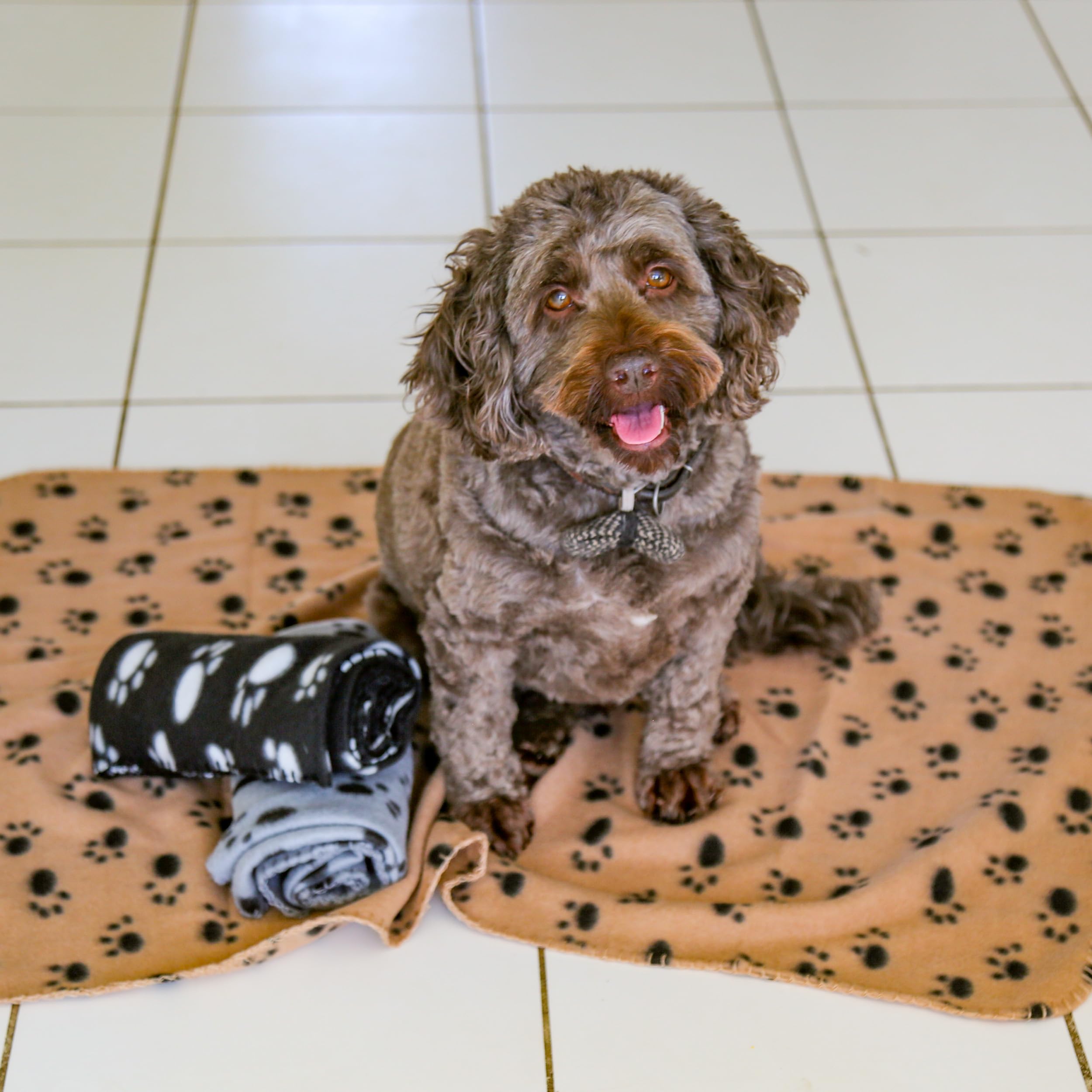 DIGIFLEX Pack of 3 XL Soft Dog Cat Pet Fleece Blankets, Extra Large Plush Throws, Pet Blankets, Beige, Grey and Black, Soft Blanket, Washable Pet Blankets, 140cm x 100cm