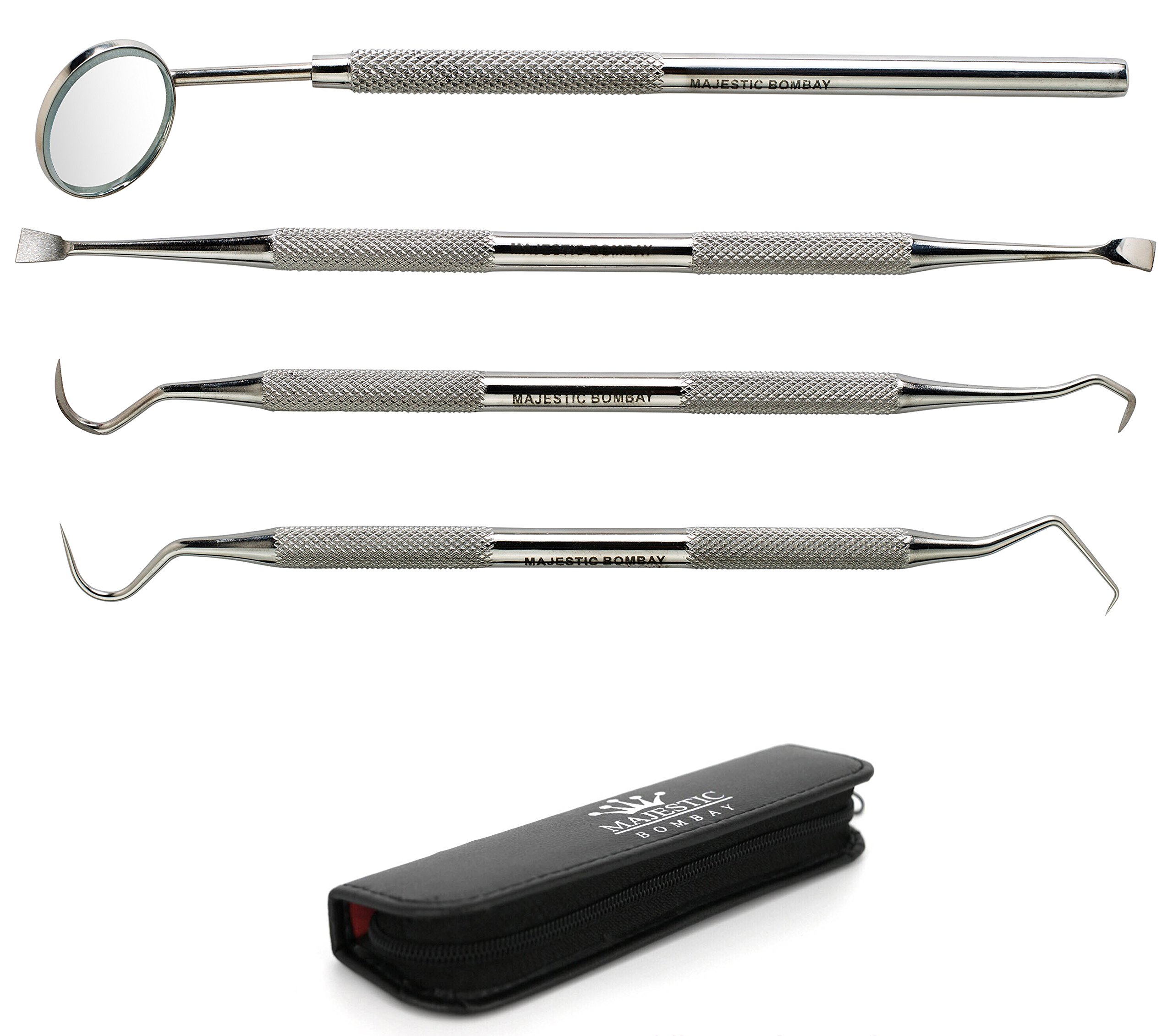 Dental Hygiene Tool Set Stainless Steel Dental Tooth Pick, Mouth Mirror 702334642047 eBay
