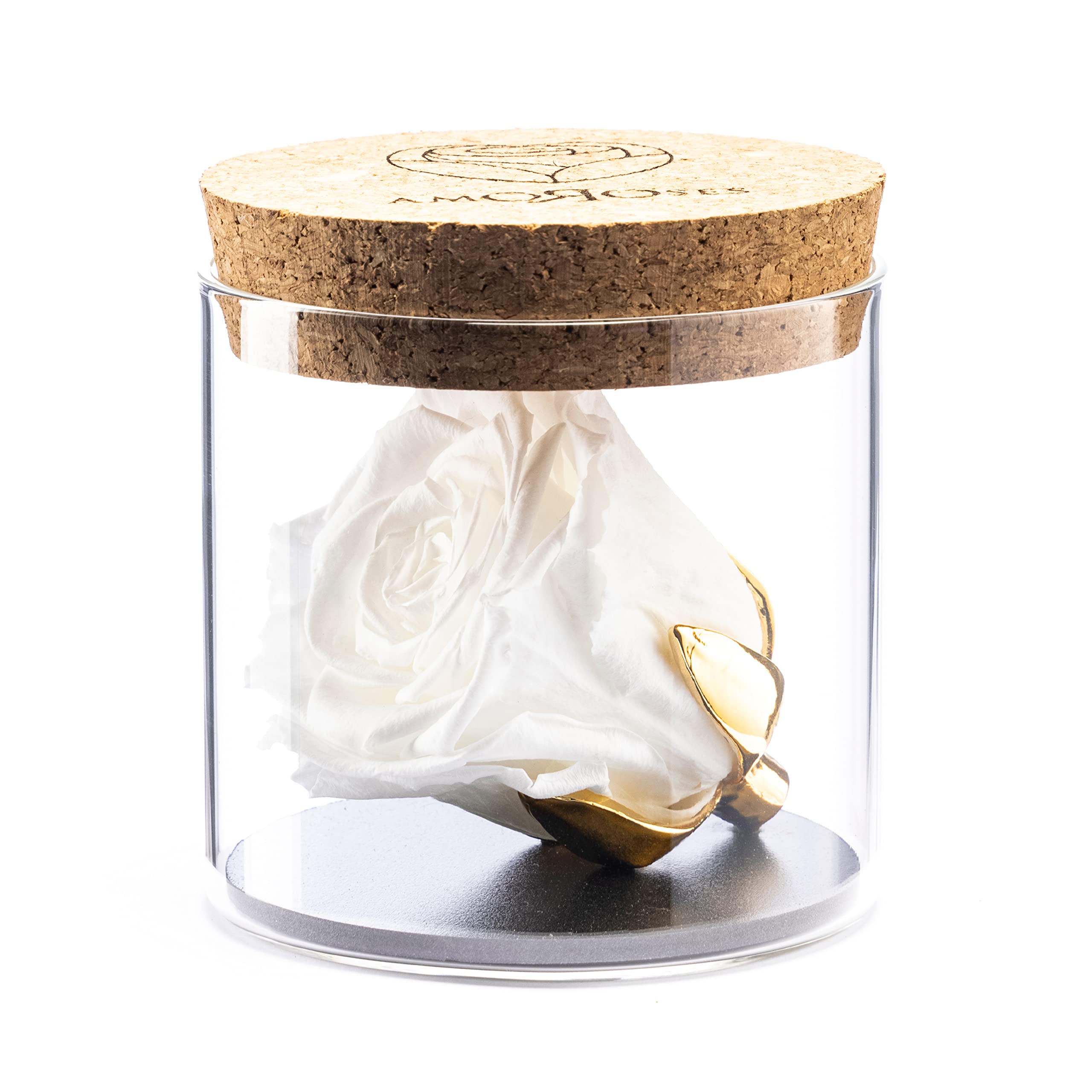 Amoroses Bijou - Eternal Stabilised Rose with 24K Gold Plated Calyx in Glass Jar | Gift Idea (White Rose)