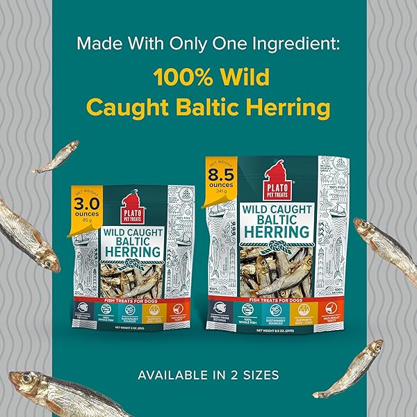 PLATO PET TREATS FISH DOG TREATS – AIR-DRIED, SINGLE INGREDIENT DOG TREAT – WITH OMEGA 3 & 6 FATTY ACIDS TO SUPPORT SKIN AND COAT – 100% WHOLE FISH – WILD CAUGHT BALTIC HERRING DOG TREATS – 8.5 OZ