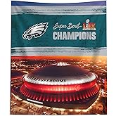 Northwest NFL Philadelphia Eagles 2025 Super Bowl LIX Dome Wall Hanging 50X60 Inches