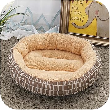 circle cat bed